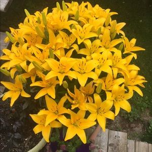 Meet your Posher, Vicki